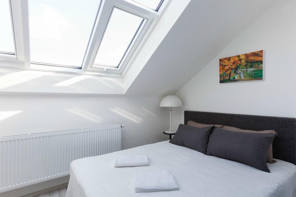 プラハKent Ridge Loft, Sokolskaアパートメント 部屋 写真